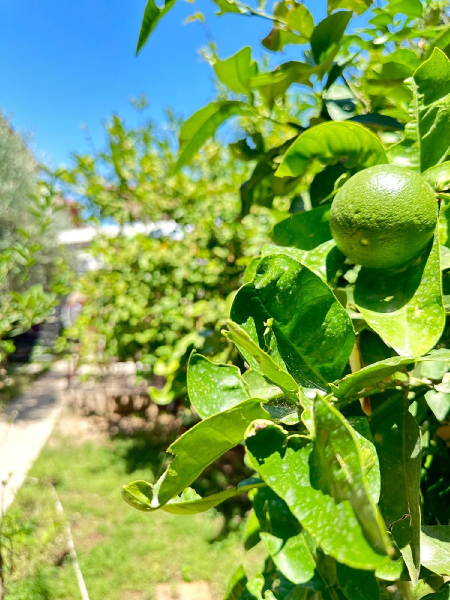 Kaleici Aparts Antalya Villa Bagian luar foto